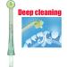 Airfloss Replacement Heads for Philips - Compatible Flosser Tips & Oral Irrigator Nozzle (HX8240 HX8140 HX8111 HX8141 HX8211 HX8154) - Green - Buy Online on GoSupps.com