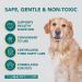 The Healthy Dog Co Probiotic Powder for Dogs - Digestive Enzymes & Fibre Supplement - 140g - Buy Online on GoSupps.com