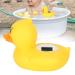 Horoper Baby Pool Thermometer  Duck Shape Floating Thermometer  Swimming Pool Baby Bath Water Temperature Measuring Tool - Buy Online on GoSupps.com