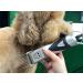 Masterclip Dog Clippers for Cockapoo Cavapoo Cavachon Labradoodle & Poodle. Mains Powered Dog Clippers with #10 & 3mm 6mm 10mm 13mm Comb Guides - Buy Online on GoSupps.com