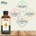 Organic Zing Apricot Oil Pure & Natural for Skin Face Hair Care Aroma Therapy Diffuser Conditioner - 30ml - Buy Online on GoSupps.com