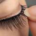 50Pcs Black Lash Strips - Self-Adhesive Fake Eyelashes & Eyelash Extension Supplies | No Glue Required Compatible with All Strip Adhesives - Perfect for Makeup Tools - Buy Online on GoSupps.com