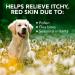 Vets Best Allergy Relief for Dogs - 250ml Spray | Fast-Acting Relief for Itchy Skin & Seasonal Allergies | Shop Internationally - Buy Online on GoSupps.com