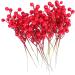 ABOOFAN 48 Pcs Christmas Greenery Garland Christmas Party Favors Artificial Pine Picks Christmas Floral Picks Red Berries Picks Christmas Berry Picks Diy Artificial Pine Tree Branch - Buy Online on GoSupps.com