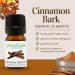 GreenHealth - Cinnamon Bark Blend Essential Oil - 5 ml Cinnamon Bark 20% - Buy Online on GoSupps.com