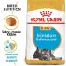 Royal Canin Dog Food Mini Schnauzer Puppy / Junior Complete 1.5KG - Buy Online on GoSupps.com