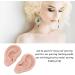 Silicone Ear Model for Earrings | Flexible Simulation Ear for Jewelry Display & Acupuncture Training | 1 Pair - Buy Online on GoSupps.com