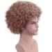 Fluffy Afro Synthetic Clown Wig - Brown | Cosplay, Halloween, Party & Christmas Costume - Buy Online on GoSupps.com