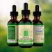 Urisgo Chlorophyll Liquid Drops - Natural Energy Booster Digestion & Immune Support - 3Pcs | International Shipping Available - Buy Online on GoSupps.com