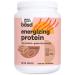 basd Energizing Protein Mocha Shake | Plant-Based Protein & Green Tea Energy | Vegan Gluten-Free Non-GMO Dairy Free Soy Free Sugar-Free | 20g Protein 20 Servings 100mg Caffeine 512g Tub Mocha Shake 512g (20 Servings)