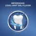 Crest Cool Mint Gel Toothpaste - 8.2 oz (Pack of 5) | Cavity Protection Formula - Buy Online on GoSupps.com