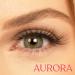 Silly George SuperNatural Series Starter Kit - Aurora LinerBond PRO Clear for Pretty Lashes | Strong Hold Adhesive Eyeliner with Natural Look Effects - Buy Online on GoSupps.com