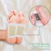 Ginger Foot Pads for Anti-Stress Relief and Improved Sleep | 100 Pads with Adhesive Sheets for Deep Cleansing and Foot Care - Buy Online on GoSupps.com