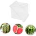 HOMSFOU Watermelon Shaping Vegetables Vegetable Growth Molds Strawberry Cup Fruit Forming Mold Tool Cucumber Ginseng Fruit 15x15cm Transparent - Buy Online on GoSupps.com