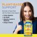 Nature's Life Bromelain & Papain - 250 Veggie Caps for Digestive Support - Buy Online on GoSupps.com