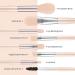 8 Piece Apricot Makeup Brush Set - Foundation Eyeshadow Eyeliner & More | International Shipping - Buy Online on GoSupps.com
