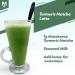Matchaeco 50g Japanese Turmeric Matcha Green Tea Powder | Stone Ground Ceremonial Grade From Japan | Vegan Baking & Matcha Latte | Pesticide-Free | Eco-Friendly Packaging - Buy Online on GoSupps.com