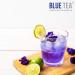 Blue Tea - Butterfly Pea Flower Pyramid Tea Bags | Natural Food Coloring for Iced Tea, Cocktails & Mocktails | Clitoria Flower Herbal Tea in PET Jar - Buy Online on GoSupps.com