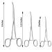DEXSUR Ultimate Hemostat Set 6 Piece Ideal for Hobby Tools Electronics Fishing and Taxidermy - 8 6.25 and 5 Stainless Steel Curved & Straight 8 6.25 & 5 - Curved & Straight - Buy Online on GoSupps.com
