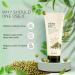 THE FACE SHOP Herb Day 365 Cleansing Foam Mung Bean - Buy Online on GoSupps.com