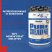 Buy Weider Pure Creatine Powder - Ultra-Fine Creapure Creatine Monohydrate for Muscle Building & Sports Performance - 600g (Tasteless) - Buy Online on GoSupps.com