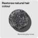Sons Anti-Gray Hair Solid Shampoo for Men Restores Gray Hair Strands to Their Natural Color for Daily Use 3 Months - Buy Online on GoSupps.com