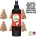 Gingerbread Pet Cologne 12.5 oz for Dogs | Long-Lasting Odor Eliminator | Cruelty-Free, Paraben-Free | Made in USA | Biodegradable & Non-Toxic - Buy Online on GoSupps.com