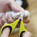 Alinana Cat Nail Clippers - Cat Nail mit Sharp Stainless Steel Blades Non-Slip Handle Professional Cat Claw Clipper for Small Pet Kitten and Rabbit Straight Blade - Buy Online on GoSupps.com