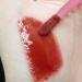 100 Pcs Disposable Lip Brushes for Makeup - Pink Lipstick Brush & Gloss Applicators - Buy Online on GoSupps.com