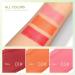 Multi-Use Makeup Blush Stick Beauty Solid Moisturizer Stick Waterproof Natural Nude Makeup Tinted Solid Moisturizer Stick for Eyes Lips Cheek (Rose red 30g) - Buy Online on GoSupps.com