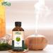 Calamus Oil (Acorus Calamus) - Pure Essential Oil for Skincare Hair Care & Aromatherapy - 30ml - Buy Online on GoSupps.com