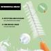 50-Part Interdental Brushes Set | Mini Tooth-Floss Picks & Braces Toothbrush | Colorful Dental Care Tools for Optimal Oral Hygiene - Buy Online on GoSupps.com