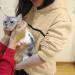 Womens Long Sleeve Cat & Dog Hoodie Sweater with Zipper - Warm Beige 3XL - Perfect for Pet Lovers - Buy Online on GoSupps.com