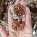 Natural Red Aragonite Quartz Crystal Cluster Shape Rough Stone Cluster Nepheline Specimen 1pcs Reiki Crystal Stone (Size : 51-70g 1pc) - Buy Online on GoSupps.com