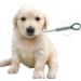 GDLPZM Pet Dog Cat Capsule Tablet Pill Gun Popper Piller Pusher Syringe Feeding Device - Buy Online on GoSupps.com