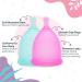 Ecoblossom Menstrual Cup Sterilizer - 2-Minute Automatic UV Cleaner for Small & Large Period Cups - Buy Online on GoSupps.com