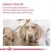 Royal Canin Light Weight Care Wet Adult Dog Food 85g (Pack of 12) Meat 85 g (Pack of 12) - Buy Online on GoSupps.com