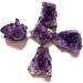 1/5/10PC 1PC/40-50g Natural Purple Amethyst Quartz Crystal Cluster Stone Druzy Geode Rock Specimens Ornament Home Decor Gift ZJGIDTEM (Color : Purple Size : 1Pc) 1Pc Purple - Buy Online on GoSupps.com