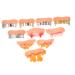 Plafope 10 pcs Funny wrong teeth of the Halloween maskerade party Halloween party fake teeth party teeth artificial teeth form for men cosplay-party fake teeth