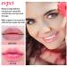 BINGBRUSH Aloe Vera Color Changing Lipstick Set - Long Lasting Moisturizing Lip Gloss for Women - 2 Count - Buy Online on GoSupps.com