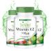 Fairvital | Vitamin K2 MK-7 100 g - HIGH DOSE - Menaquinone MK-7 - natural & fermented from Natto - VEGAN - 270 capsules (90x3)