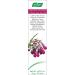 Comfrey 35g Cream - Soothing and Healing Herbal Skincare Solution - Buy Online on GoSupps.com