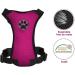 Slowton Dog Harness & Seat Belt - Breathable Latex Puppy Harness for Safe Car Travel & Everyday Sports | Size L in Fuchsie - Buy Online on GoSupps.com