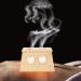 Buy Moxibustion Box with 2 Holes - Moxa Stick Holder & Roller - Premium Bamboo Moxibustion Therapy Tool for Pain Relief - International Shipping Available - Buy Online on GoSupps.com