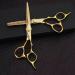 Hair Cutting Scissors 6.0 Inch Haircutting Scissors VG10 Steels Thinning Shear Hair Salon Professional Trimmer Salon Scissors Set - Buy Online on GoSupps.com