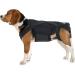 Shenrongtong Breathable Back Brace for Dogs | Wings Dogs with Spine to Rehabilitate Breathable Back Armband Helps Relieve Spine - Buy Online on GoSupps.com