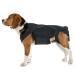 Breathable Dog Back Brace - Pets Back Protector Soft Back Bracers Breathable Back Bracer Helps to Relieve Dogs Spine Problems Black 3 Size Black Large