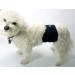 Teamoy Reusable Male Dog Diapers, Washable Belly Bands for Small Dogs (Pack of 3) - Black, Gray, Lake Blue - Buy Online on GoSupps.com