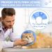 Cat Recovery Collar Cone Collar Adjustable Elizabethan Collars Pet Recovery Collar for Cats Kitten and Puppies (S) - Buy Online on GoSupps.com