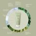 Mixsoon Master Gentle Recipe Foam Cleanser 5.07 fl oz | Mild Exfoliation for Dry, Sensitive Skin | Vegan & Cruelty-Free - Buy Online on GoSupps.com